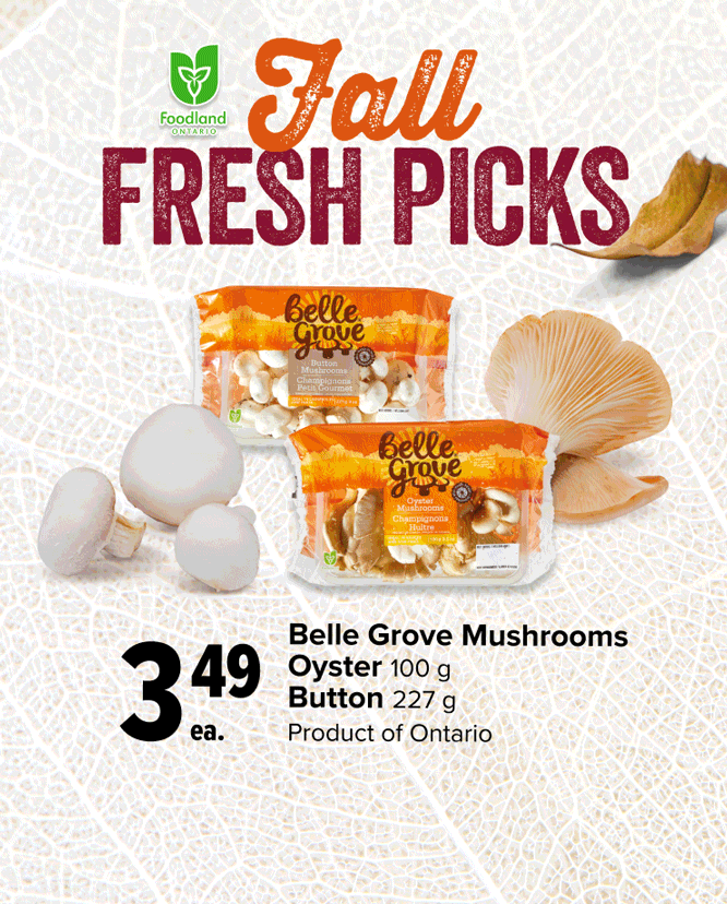 Fall fresh picks