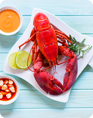 Tout sur le homard