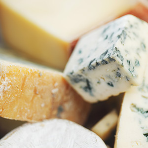 Quebec cheese: Successful cheese tasting