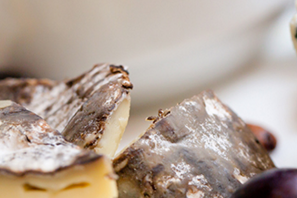 Make Your Cheese Tasting a Success