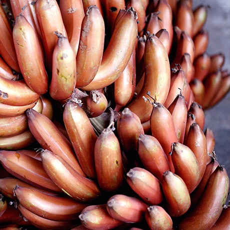 Banane rouge