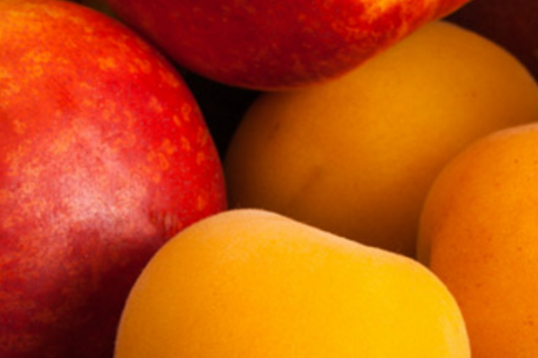 Apricots & Nectarines