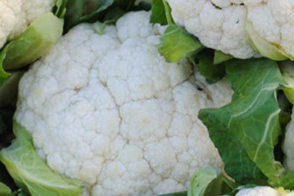 Cauliflower