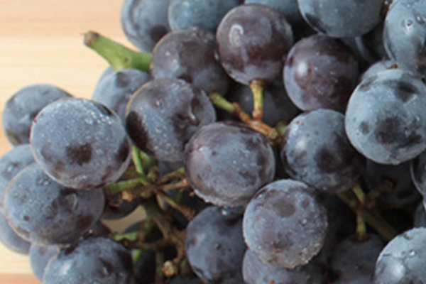 Coronation Grapes