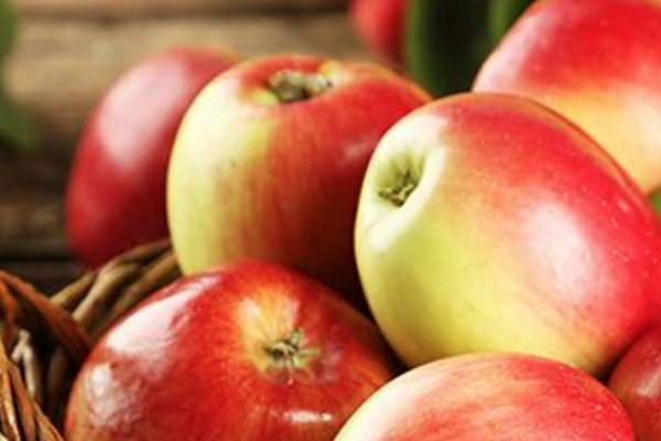 Cook With Apples