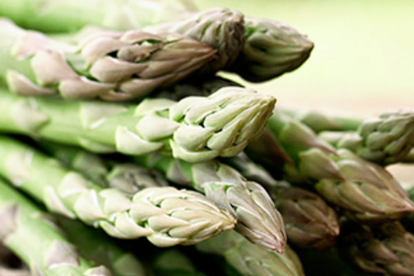 Asparagus