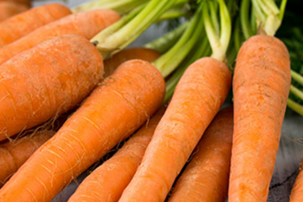 Carrots