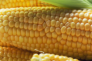 Corn