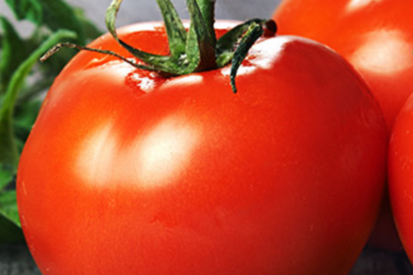 The Tomato: Queen of Summer