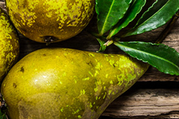 Pears
