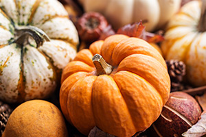Squash