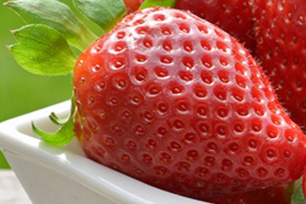 It's Time for Quebec Strawberries!