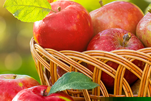 Guide de conservation pour fruits