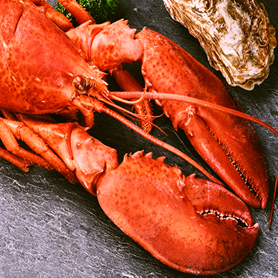 How to Choose and Cook Lobster