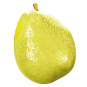 Anjou Pear