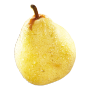 Rocha Pear