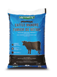 Cattle manure