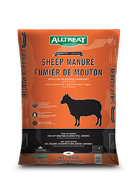 Sheep manure