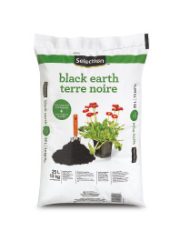 Black earth