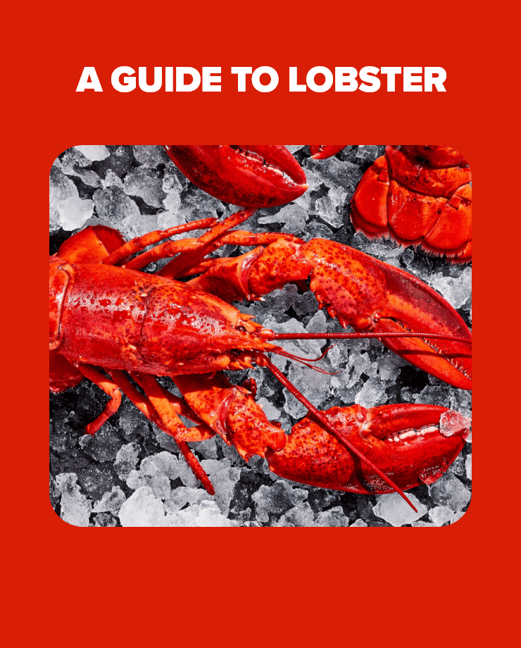 A guide to lobster
