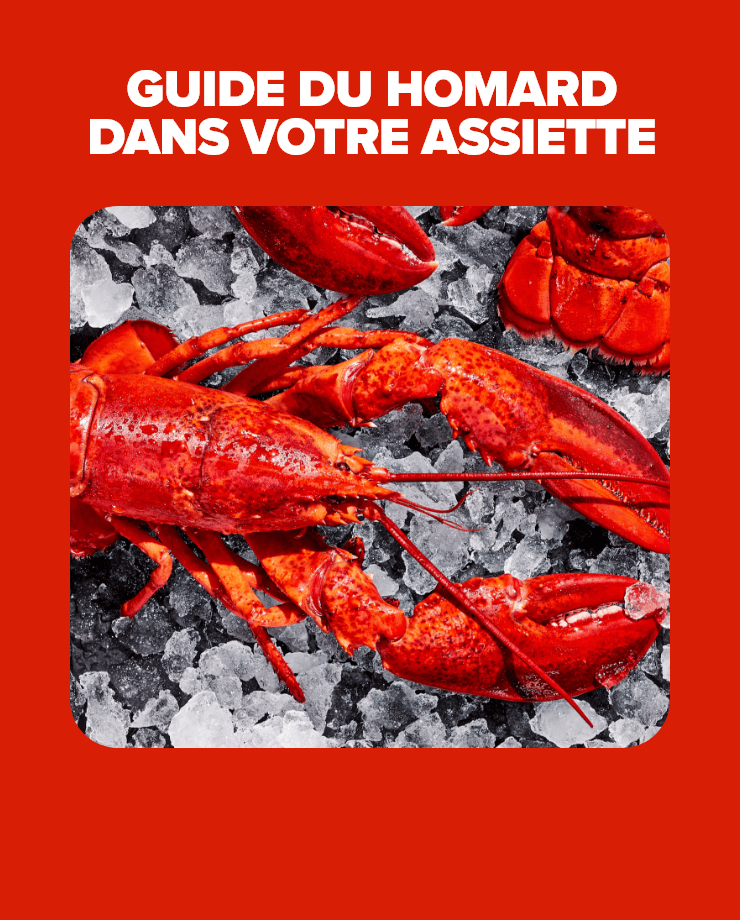 Guide du homard dans votre assiette
