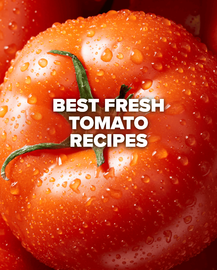 Best Fresh Tomato Recipes