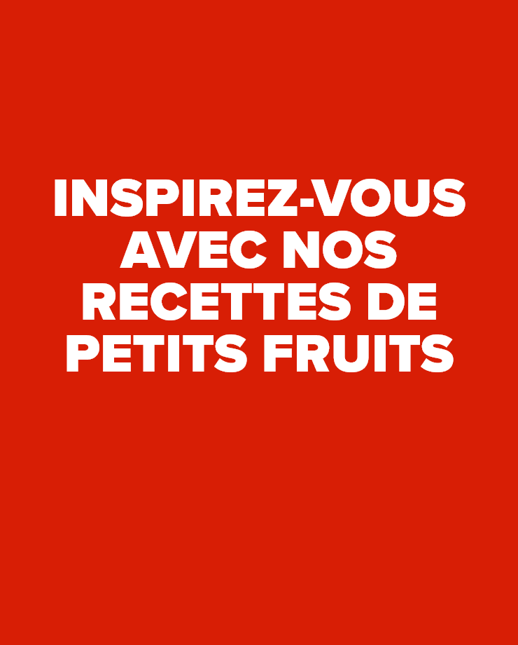 Inspirez-vous avec nos recettes de petits fruits