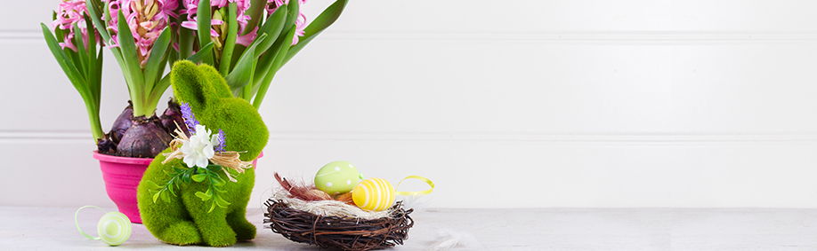 Easter activities and decorations