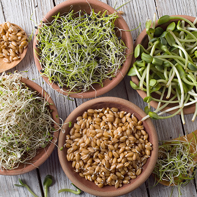 Get more with sprouted grains