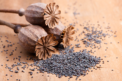 Klushi Z Makiem Noodles with Poppyseeds and Vodka