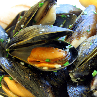 Blue Mussels Nestled in the Shell