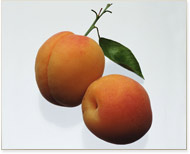 Food Lover's Peach Puddings