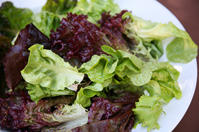 Smoked oyster salad with tomato coulis