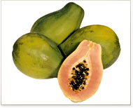 Laotian Papaya Salad