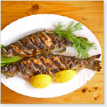 Grilled Whole Trout with Cheese Sauce