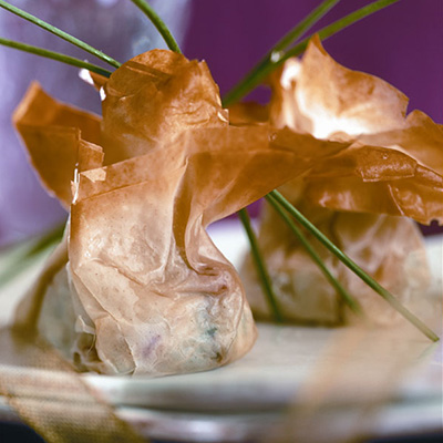 Chicken, Pistachio and Cranberry Phyllo Cup
