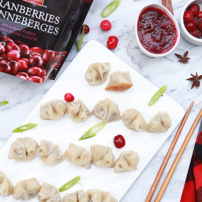 Turkey dumplings