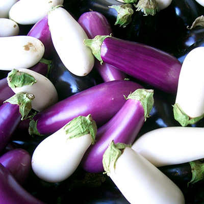 Éventail d'aubergine à la provençale