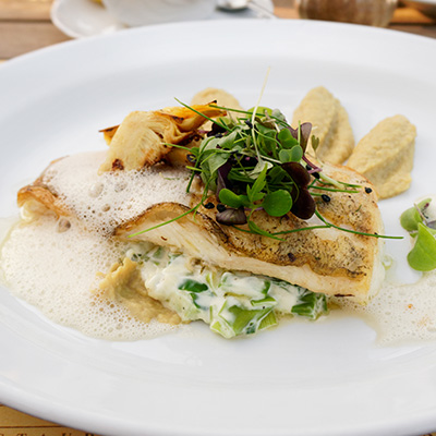 Oriental Marinated Walleye Fillets