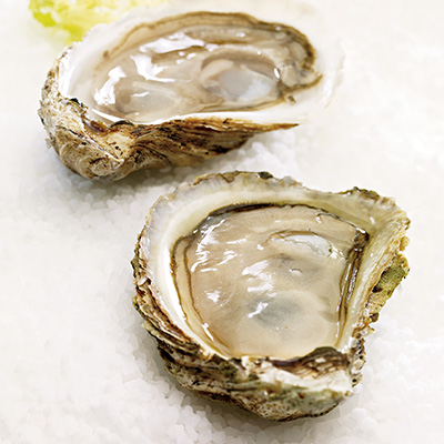 Oysters on the Half Shell