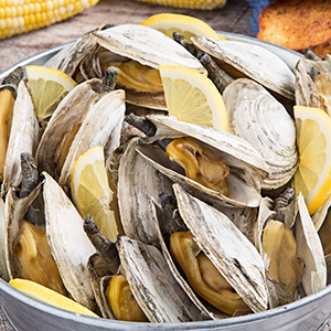Clams