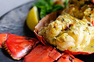 Dissecting Lobster