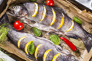 Trout Festival