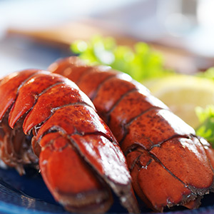 Lobster