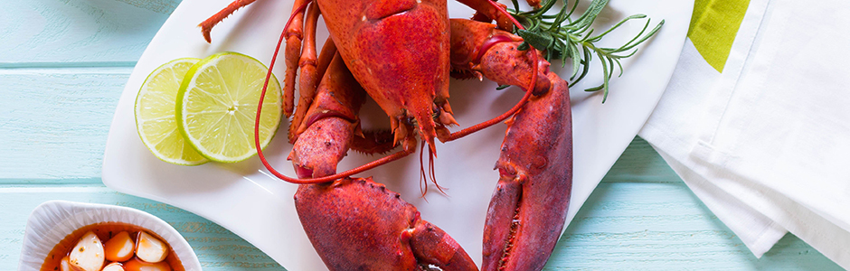Lobster - Glossary