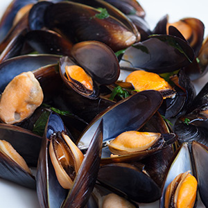 Cooking Mussels: Steaming mussels