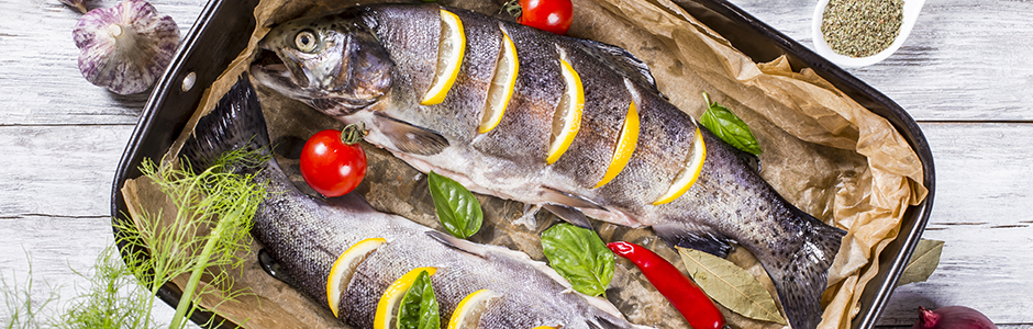 Trout Festival