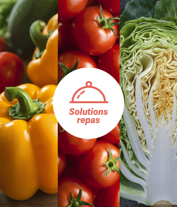 Solutions repas