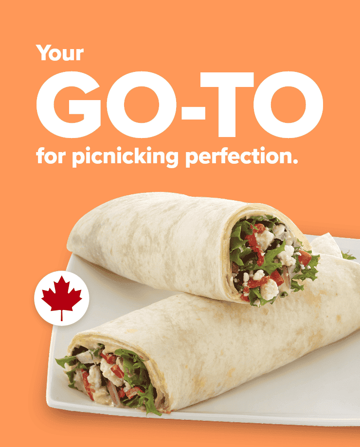 Your Go-To picnicking perfection.