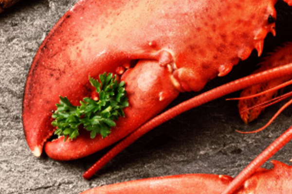 Lobster Appeal